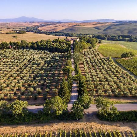 Agriturismo Pometti - Fattoria La Selva Trequanda Exteriör bild