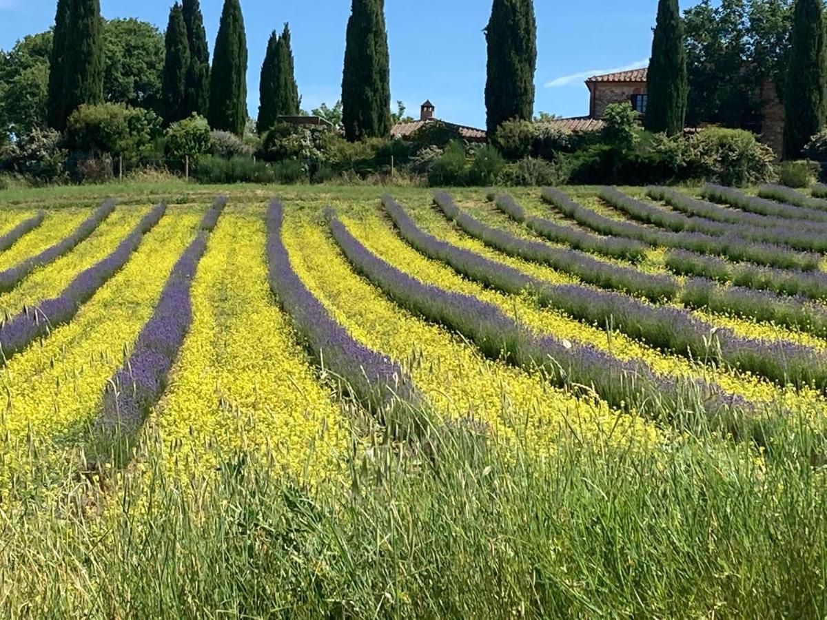 Agriturismo Pometti - Fattoria La Selva Trequanda Exteriör bild