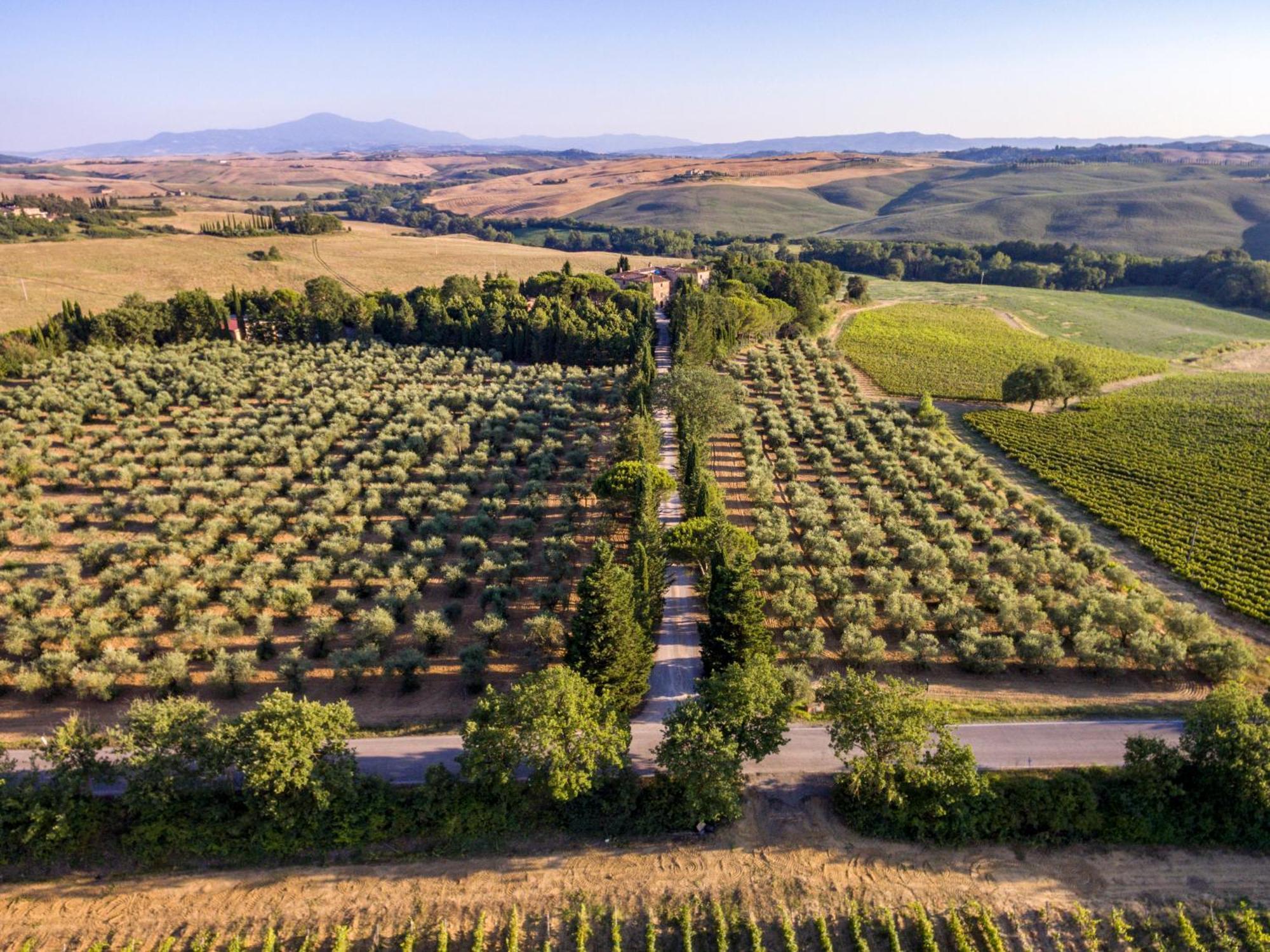 Agriturismo Pometti - Fattoria La Selva Trequanda Exteriör bild
