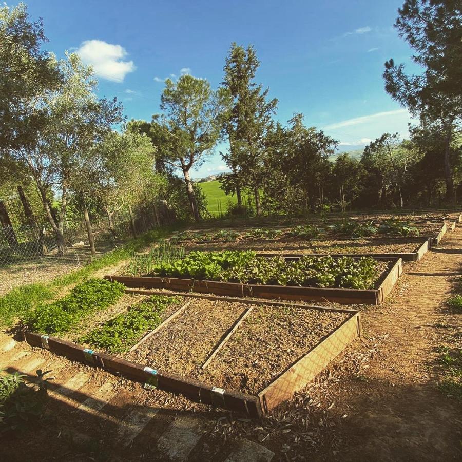 Agriturismo Pometti - Fattoria La Selva Trequanda Exteriör bild